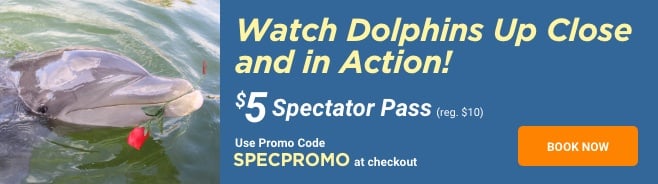 Dolphins Plus Spectator Pass