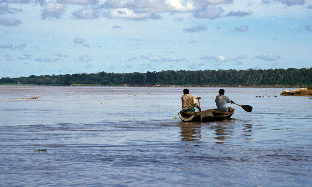 Amazon_River_Dolphin