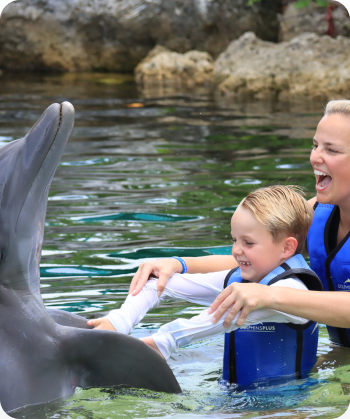 DOL_350x420_Shallow-Water-Dolphin-Encounter_01