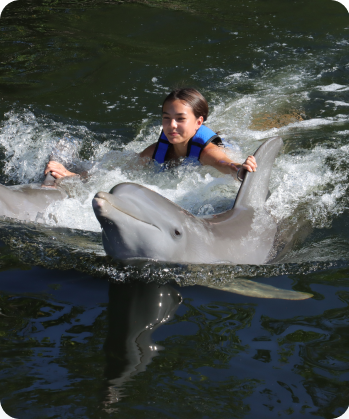 DOL_350x420_Signature-Swim-_01