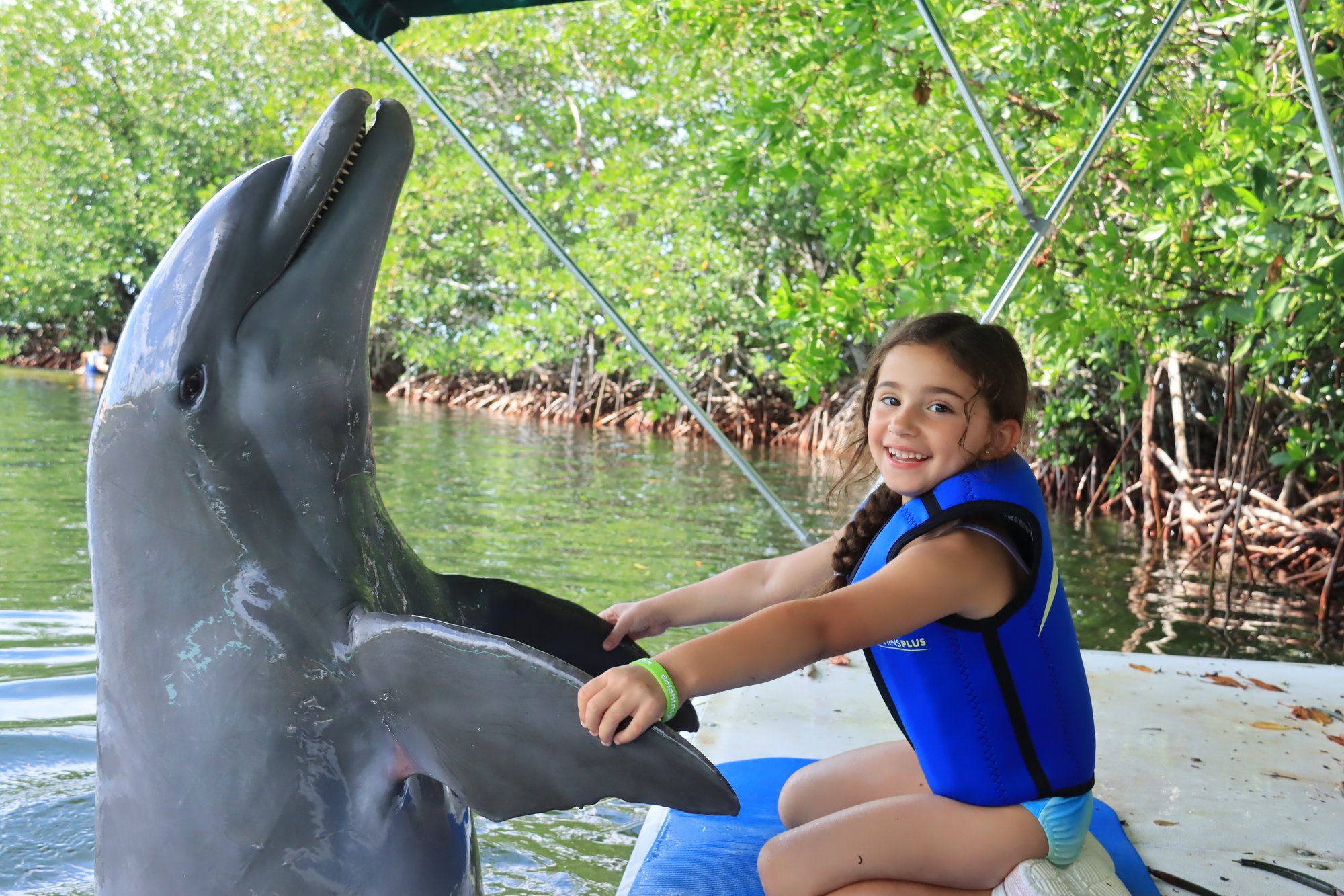 Dolphin Dockside2