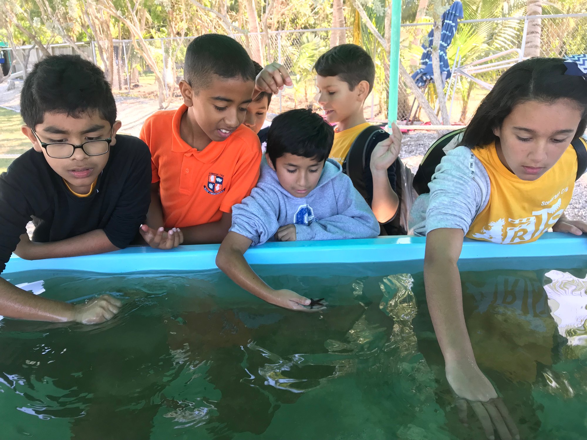 Touch Tank 2