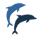 about-dolphin-mobile-icon