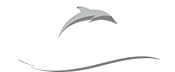 dolphin-point-logo