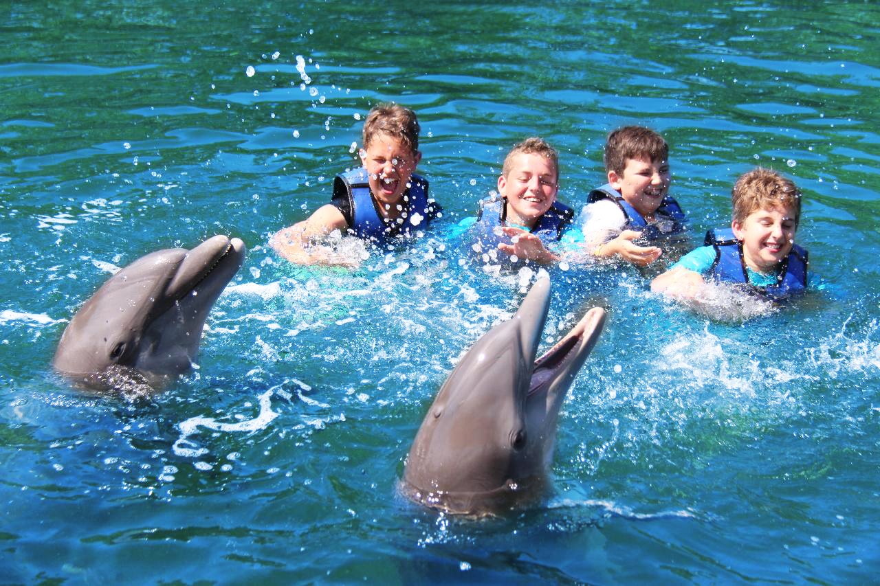 DOL_Boys_Swimming_With_Dolphins-1