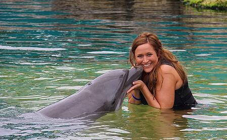 swim-with-dolphins