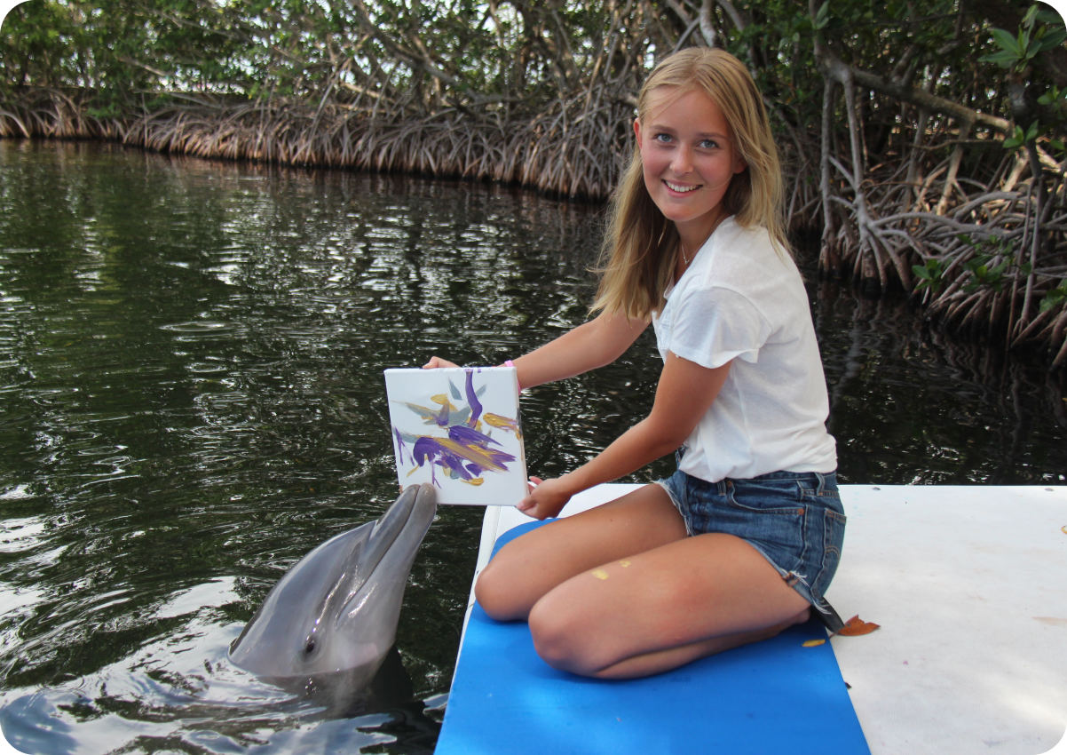 DOL_600x425_Paint with a Dolphin_01