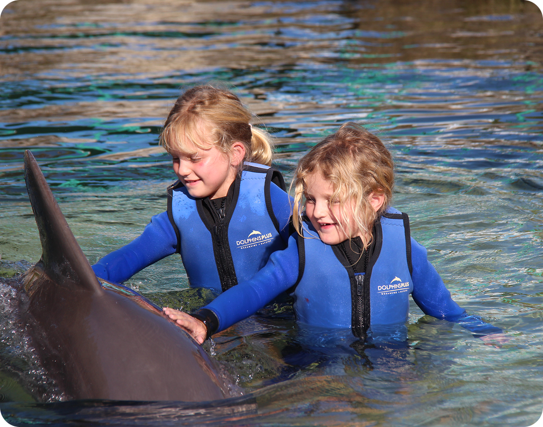 DOL_550x430_Shallow Water Dolphin Encounter_01