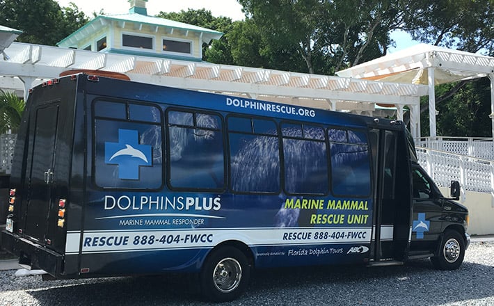 Dolphins Plus Marine Mammal Responder