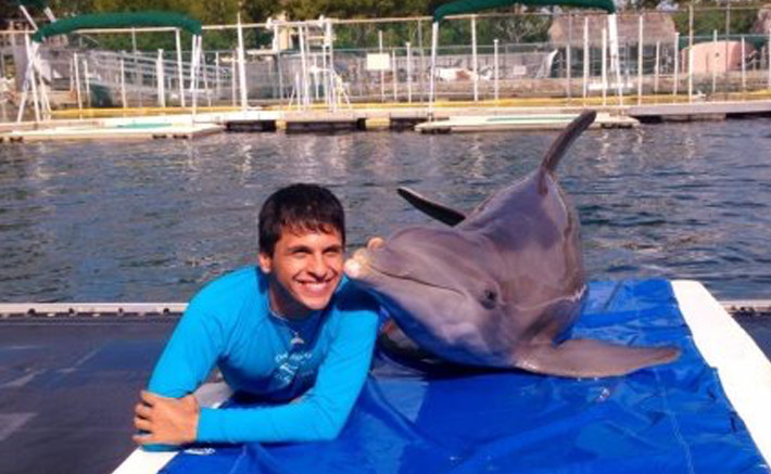 Dolphins Plus animal care internship program 1