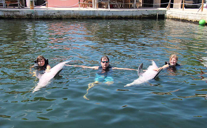 Oma's Dolphin Program