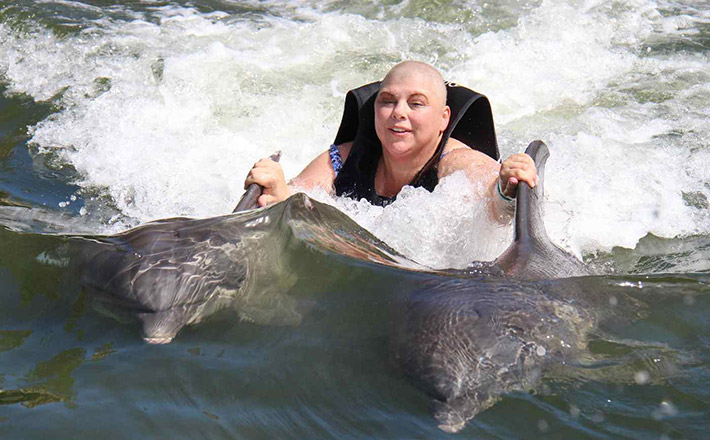 Oma's Dolphin Program
