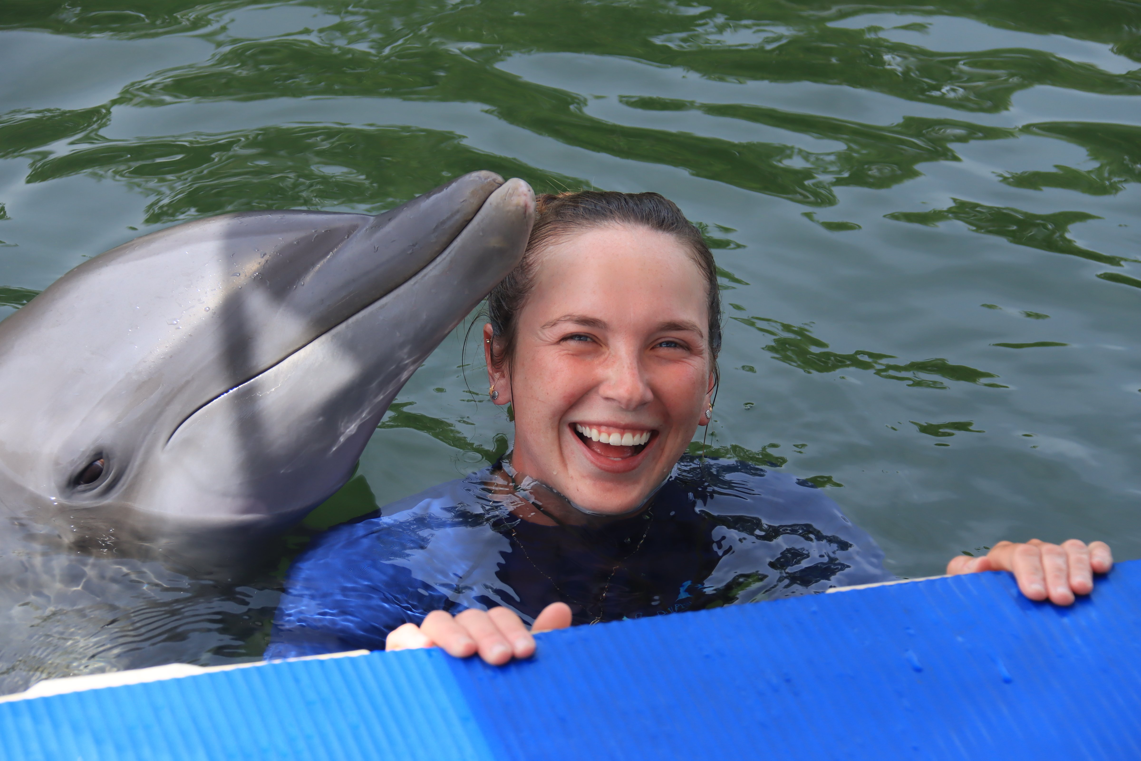 Swimming with Dolphins in Florida