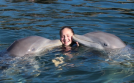 dolphin-habitats-everglades